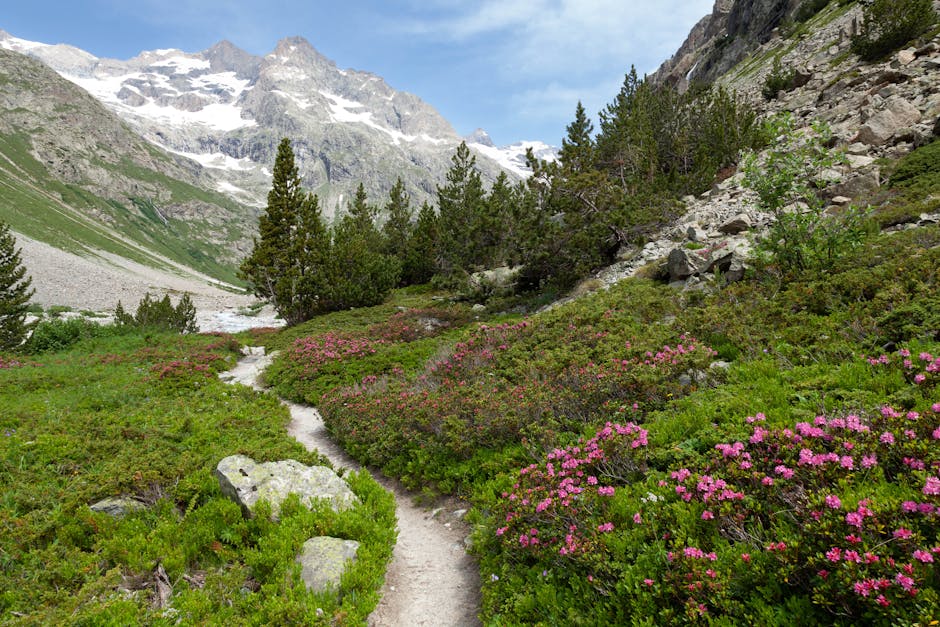 A picturesque alpine trail with wildflowers and snowcapped peaks in Saint-Christophe-en-Oisans, France.